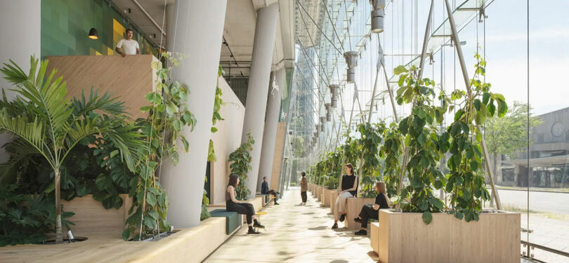 A modern indoor space with large windows and abundant greenery, featuring people seated on wooden benches next to tall planters.