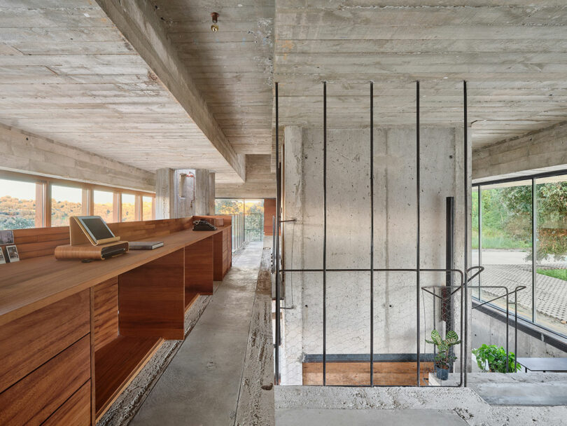 Interior view of a modern building with concrete walls, wooden shelves, large windows, and a metal staircase railing, featuring a plant below.