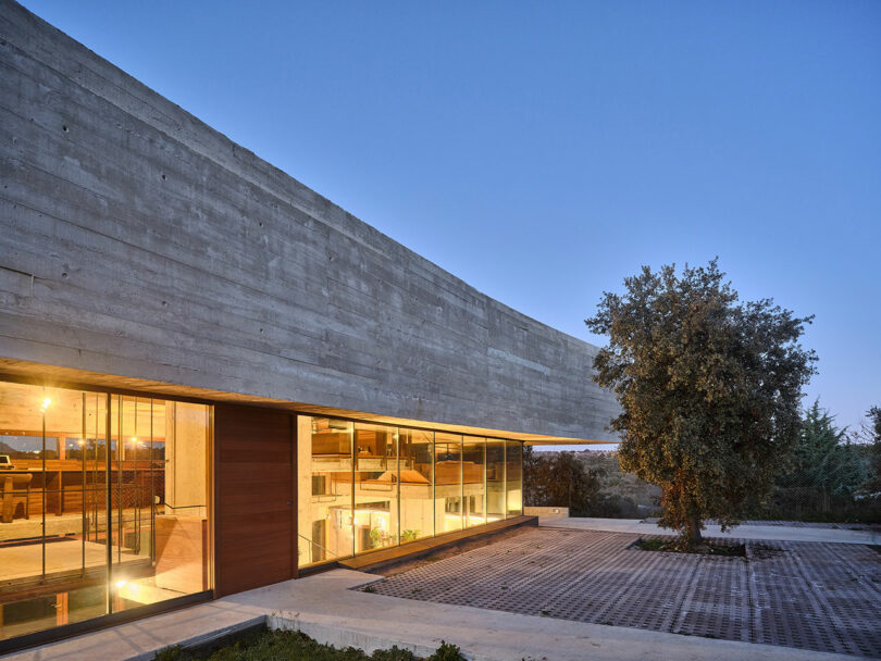 Modern building with large glass windows, concrete exterior, and a tree nearby, viewed at dusk.