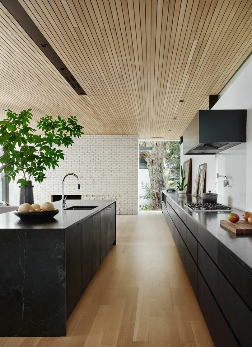 Modern kitchen with wooden ceiling, black countertops, and light wood flooring. Large plant on the island, a tree visible through a window, and fruits displayed.