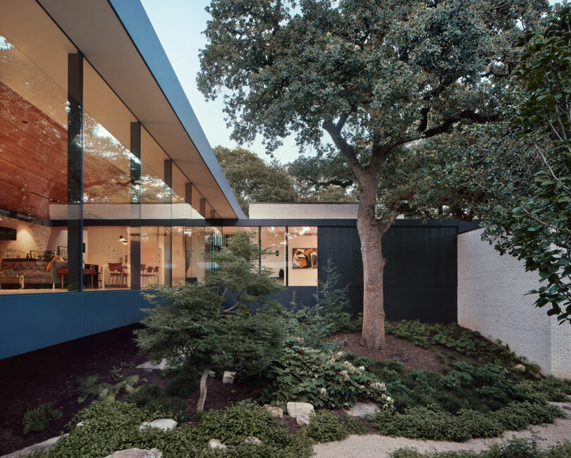 Modern house with large glass windows, surrounded by trees and greenery, showing interior details like furniture and decor.