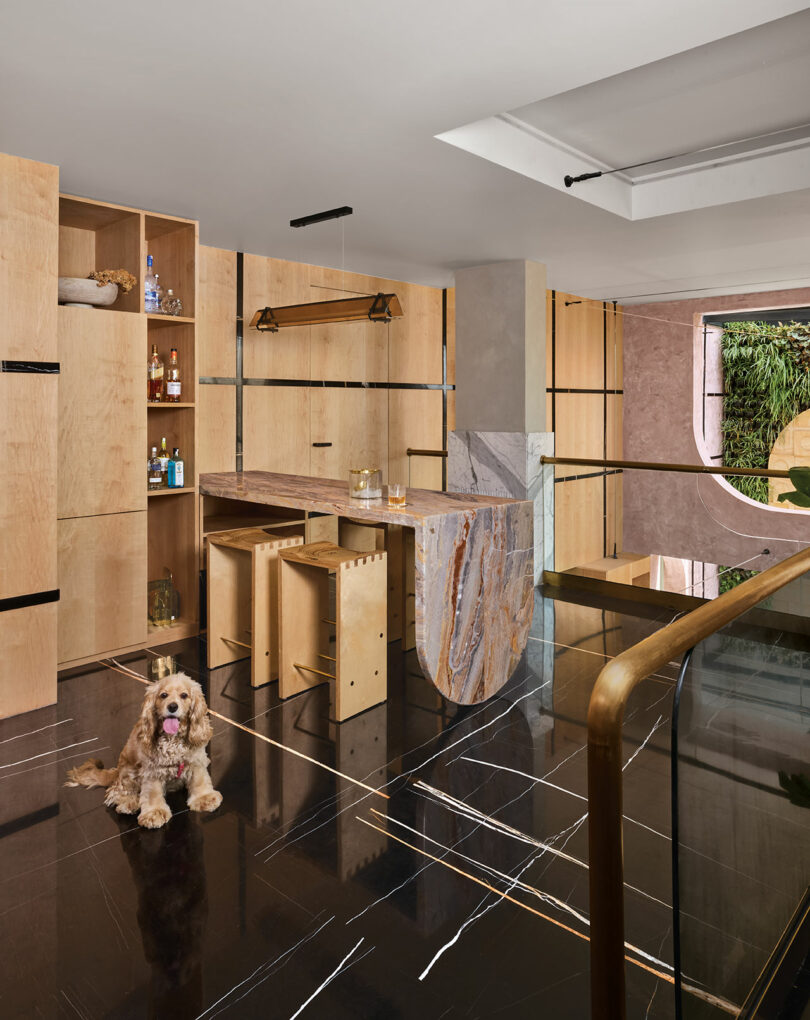 Modern interior with a marble bar counter, wooden bar stools, and open shelving. A dog sits on the shiny dark floor near the counter.