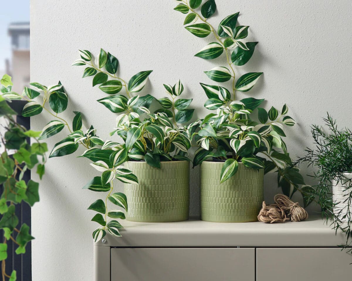 The Hidden Gems I'm Snagging at the IKEA Spring Sale (Without Breaking My $500 Budget!) 11 CHIAFRÖN Plant Pot