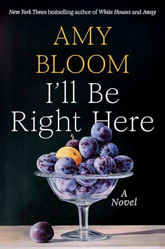 B0DHV35JX7 cover image