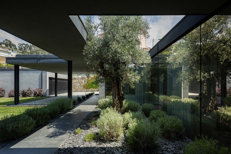 Hillside House / Ricardo Azevedo Arquitecto - Image 7 of 32