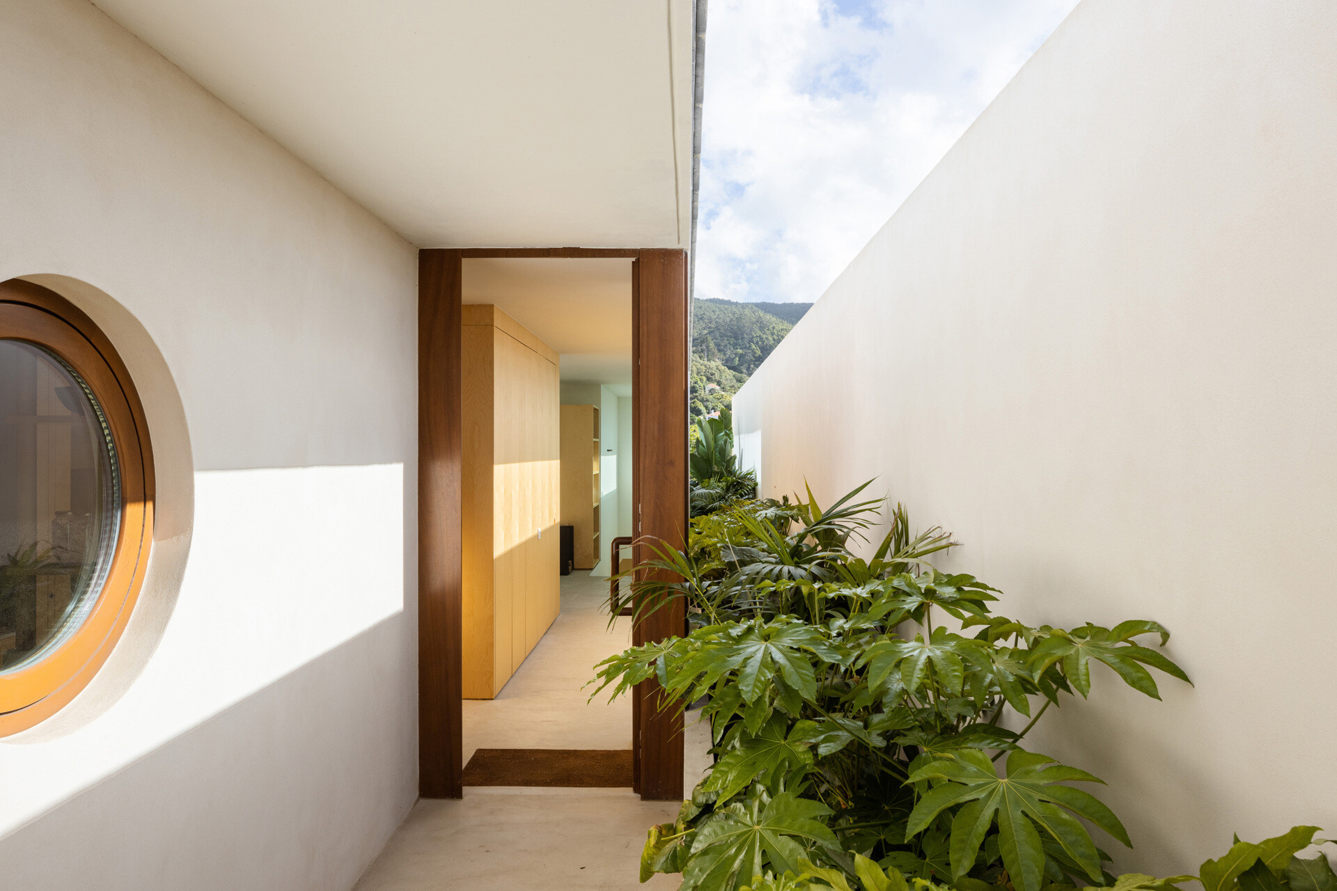 The rich wood front door, with its sculptural handle, brings warmth and artistry to the minimalist entry. A round window adds a hint of curiosity, letting soft light spill through and creating a sense of welcome.