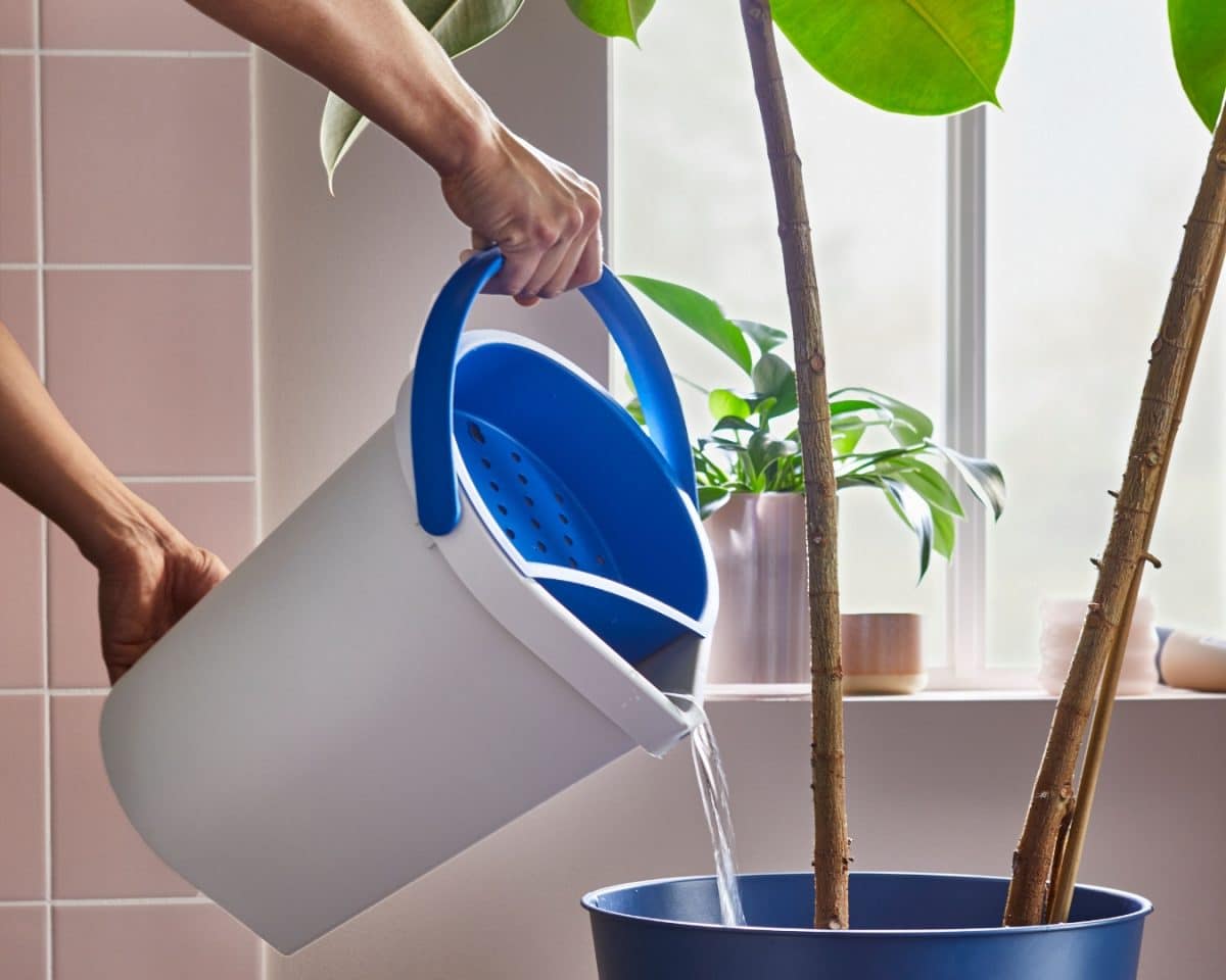 IKEA BERGVATTNET Bucket