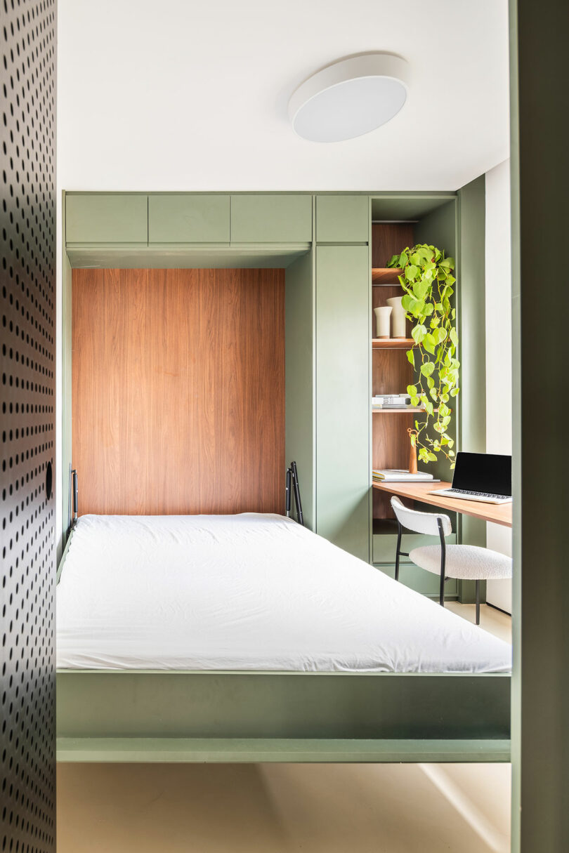A modern room with a green Murphy bed pulled down, a built-in wooden desk, a laptop, shelves with decor, and a potted plant trailing from the top shelf.