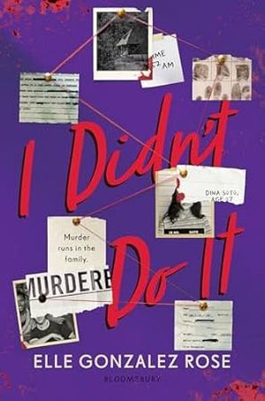 I didn't do it book cover