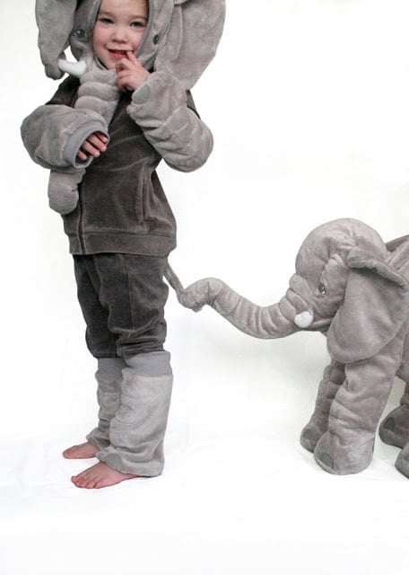 Cuddle elephant to costume