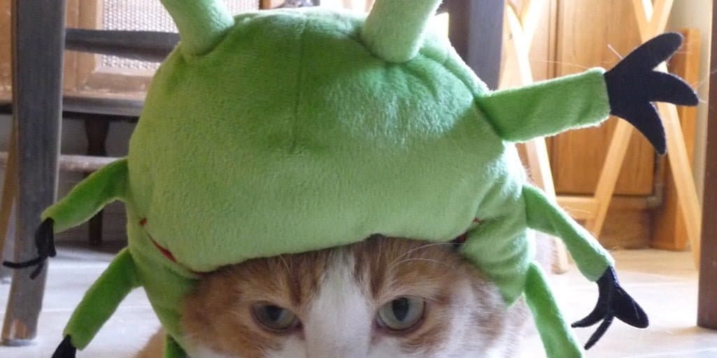 SAGOSKATT Chibbymonster hack attack! A Cat Halloween Costume