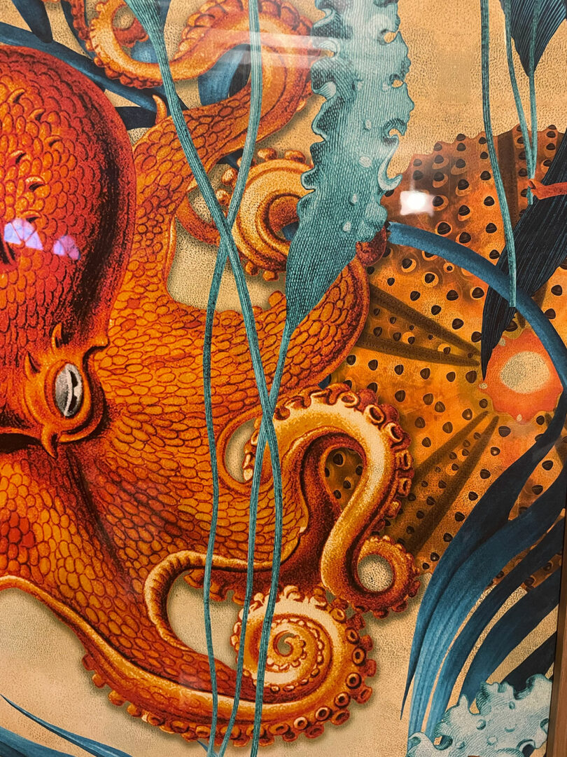 Illustration of an orange octopus with curled tentacles surrounded by aquatic plants and a sea urchin, depicted in vibrant colors and intricate detail in the signature style of Tom Parker.
