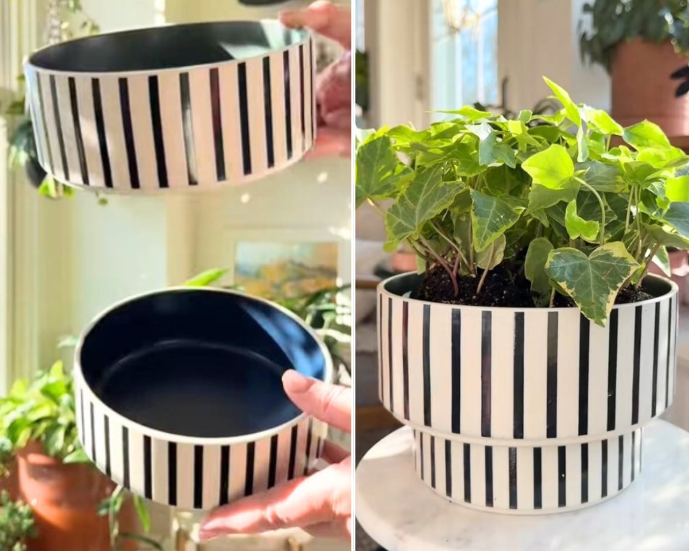 IKEA-pics - IKEA Hackers DIY Self-Watering Planter using IKEA dog bowls