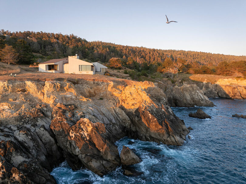 A modern house sits on rocky cliffs overlooking the ocean, surrounded by trees, with a bird flying overhead under a clear sky.